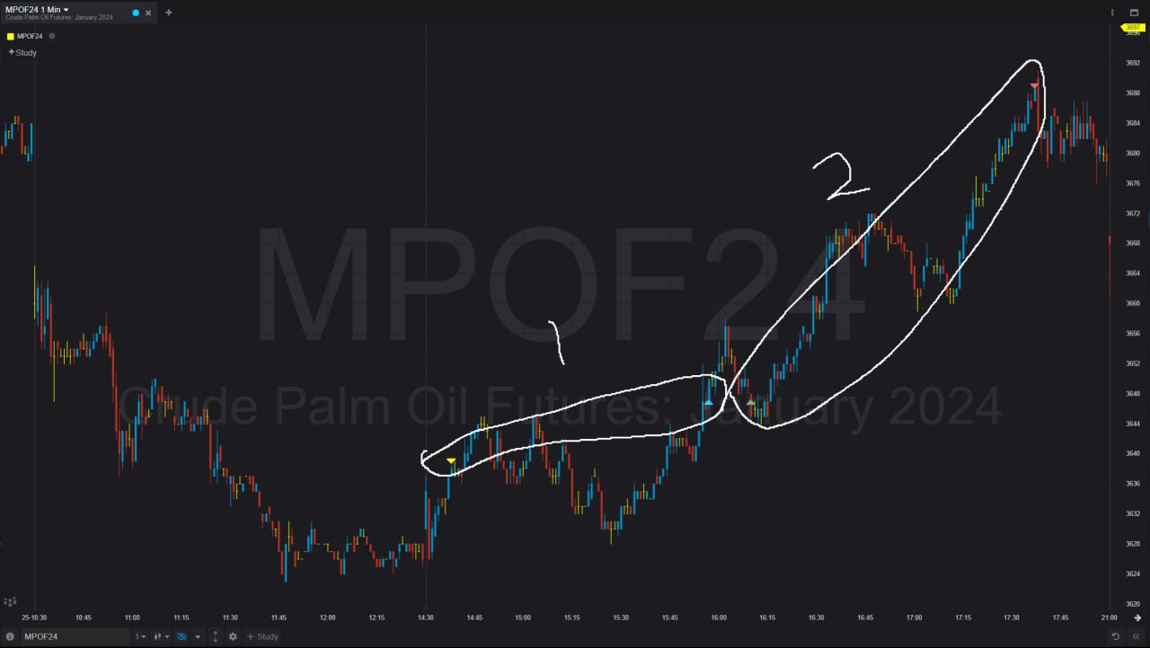 photo_2024-03-14_06-14-08